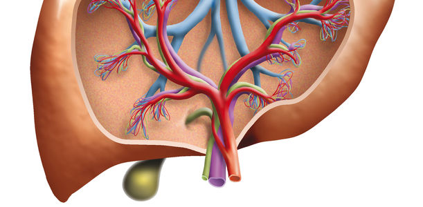 Primär sklerosierende Cholangitis:: norUDCA als neuer Therapieansatz?
