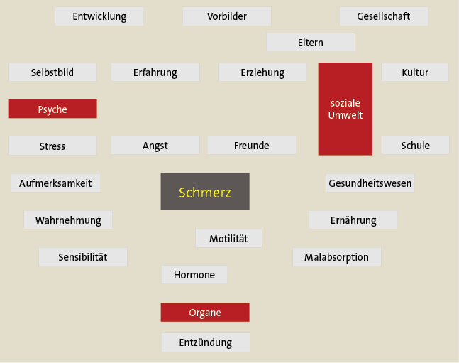 Abb. 1: Das biopsychosoziale Modell kindlicher 
Bauchschmerzen