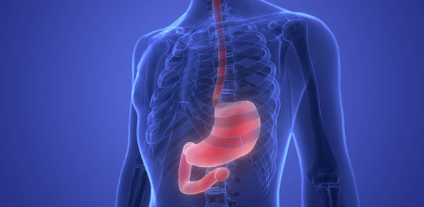 Eosinophile Ösophagitis: Wenn die Speiseröhre zum starren Rohr wird
