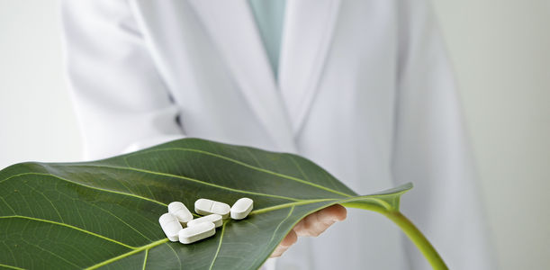 Homöopathie praktizieren: Welche Weiterbildungsmöglichkeiten gibt es?