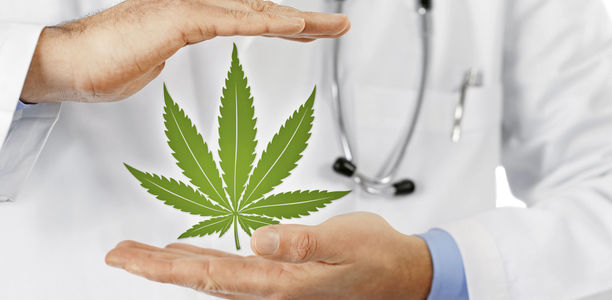 Cannabis: Wann und wie verordnen?