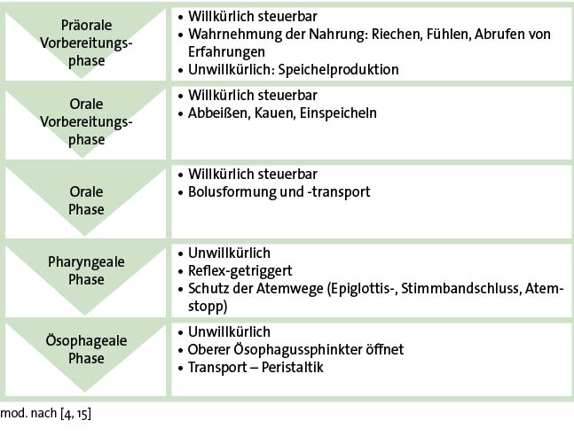 Abb. 1: Der Ablauf des Schluckaktes, hier in fünf Phasen (mit präoraler Vorbereitungsphase). Auch die Einteilung in vier Phasen (ab oraler Vorbereitungsphase) ist üblich.