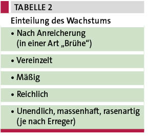 Tab. 2: Einteilung des Wachstums