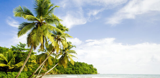 Grenada: Von Sklaven, Gewürzen und Rum Traumstrände, einsame Buchten und unberührte Natur, Kraterseen, Wasserfälle und alte Forts, Gewürzplantagen und Regenwald, überragt von einem erloschenen Vulkan. Das ist Grenada, eine der ursprünglicheren karibischen Inseln.