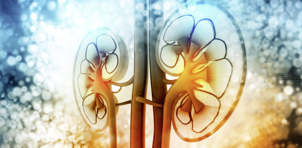Interstitielle Nephritis: Symptome, Ursachen, Therapie