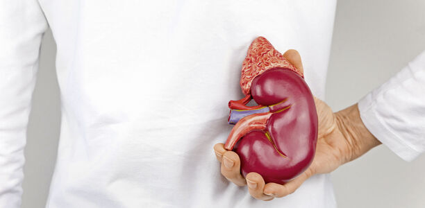 Fortbildung: Immunsuppressive Therapie nach Nierentransplantation