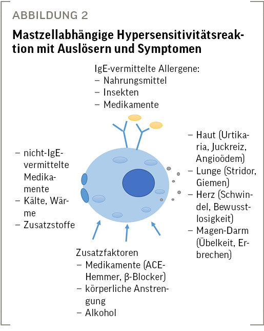 Abb. 2: Mastzellabhängige Hypersensitivitätsreaktion mit Auslösern und Symptomen