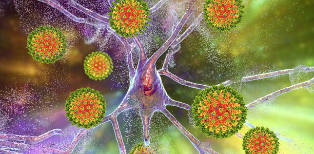 Science: SARS-CoV-2 lässt Zellen altern Auch eine virale Infektion kann eine Seneszenz auslösen.