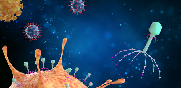 Science: Phagen gegen MRSA-Bakterien Die Phagentherapie könnte bei manchen Krankheitsbildern als ernsthafte Alternative zur antibiotischen Behandlung von MRSA-Infektionen in den Fokus rücken.