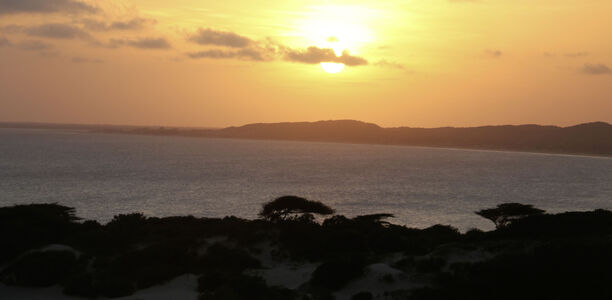 Lamu: Insel der Esel
