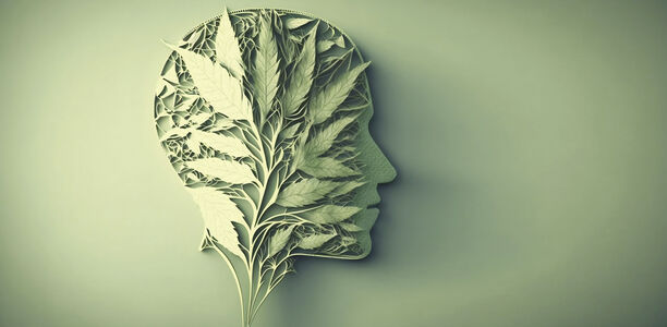 Psychiatrische Erkrankungen: Cannabis als Therapieoption?