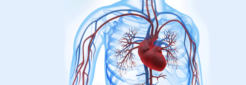 Dass Fluorchinolone das Risiko für eine Aortendissektion erhöhen, wird derzeit als unwahrscheinlich eingestuft.
