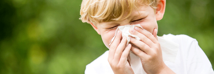Eine US-Studie bestätigt den Zusammenhang zwischen Autismus und Allergien.
