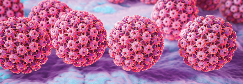 Invasive Analkarzinome werden durch die HPV-Proteine E6 und E7 getriggert.