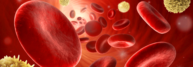 Gerinnungshemmer nach venöser Thromboembolie sicher absetzen? Risikoscore HERDOO2 hilft bei der Entscheidung.