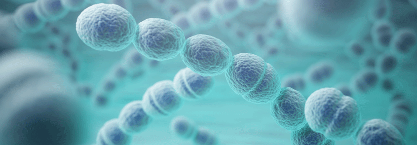 Neben E. coli können auch Pneumokokken ein HUS auslösen.
