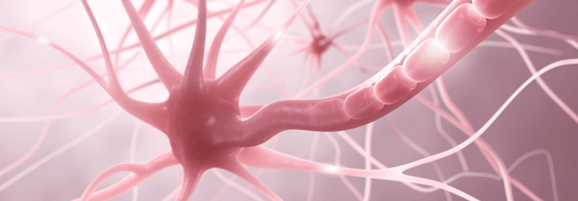 Für die Therapie der Multiplen Sklerose stehen dem Neurologen inzwischen unterschiedliche Möglichkeiten zur Verfügung.