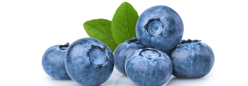 Stuhlgang blaubeeren grüner Grüner, schwarzer,