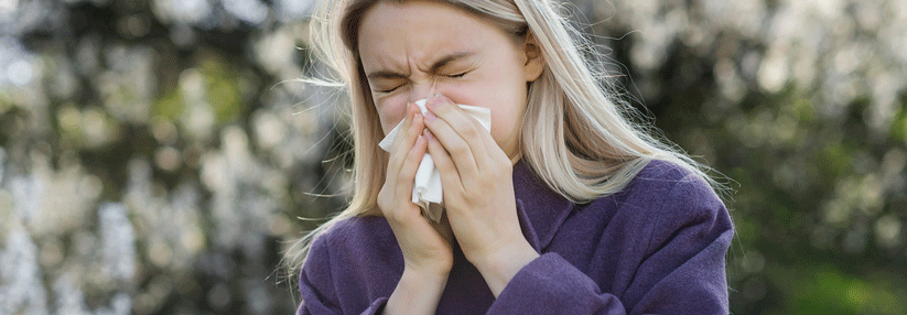 Die allergische Rhinitis ist häufig der Grund für eine chronische obere Atemwegserkrankung. 