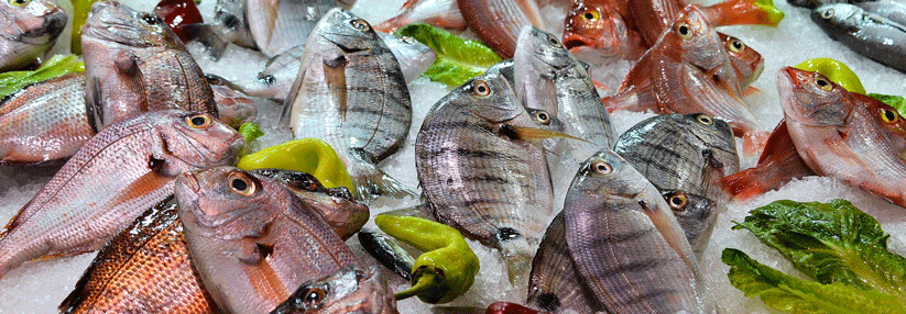 Regelmäßiger Fischverzehr hilft nicht nur bei der der Zufuhr ungesättigter Fettsäuren, sondern auch bei der Aufnahme von Vitamin D. 