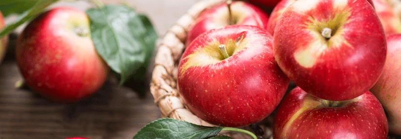 Elstar erwies sich als Apfel mit niedrigstem Fruktosegehalt. 
