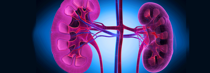 Eine präventive Hydratation bringt offenbar nichts und auch sonst wird die kontrastmittelinduzierte Nephropathie als ein überbewertetes Problem dargestellt.