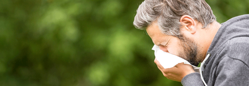 Lebensgefährlicher Schnupfen: Rhinoviren können bei gesunden Erwachsenen eine Laryngotracheitis auslösen Die Symptome seines Sohnes überführten die Übeltäter, welche für die Laryngotracheitis des Patienten verandwortlich waren: Rhinoviren.
