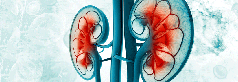 Welche Metformindosis kann für Patienten mit chronischer Niereninsuffizienz als sicher und therapeutisch effektiv eingestuft werden?