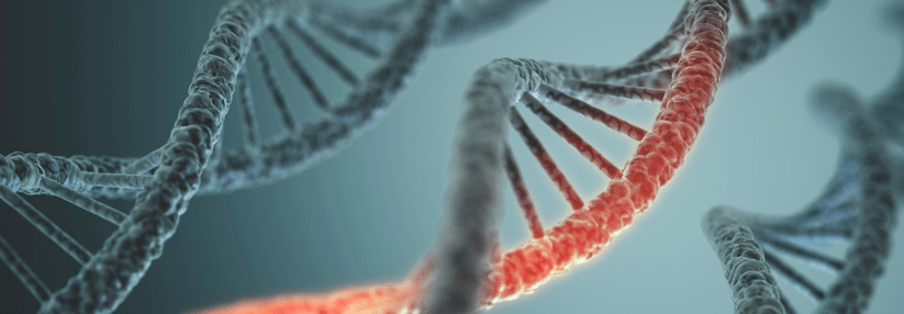 DNA-Reparaturdefekt beim CRC: Das Ansprechen auf Checkpoint-Inhibitoren steigt.