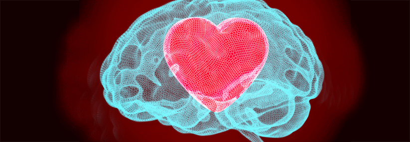 Nicht nur das Herz, sondern auch das Hirn profitiert von der Blutdrucksenkung.