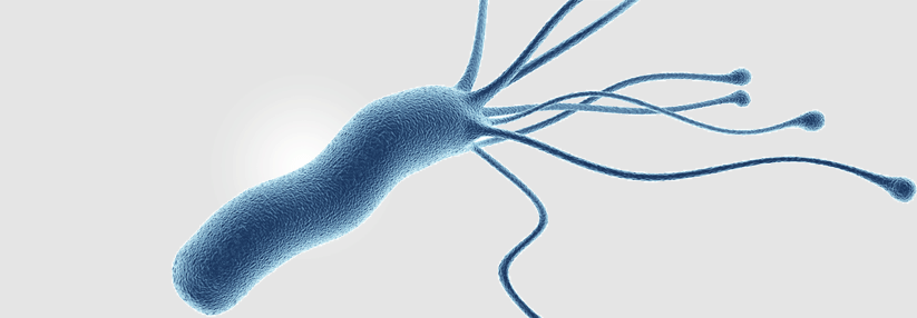 Kein Hirngespinst: Helicobacter-pylori-Infektionen und Morbus Parkinson hängen zusammen. Wie genau, muss noch geklärt werden.