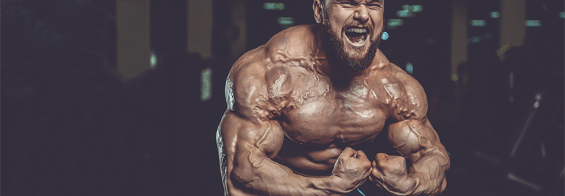 25 Fragen, die Sie zu schneller muskelaufbau steroide stellen müssen