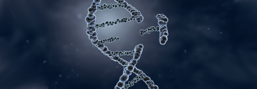 Welchen Einfluss haben DNA-Reparaturgene auf den Krankheitsverlauf?
