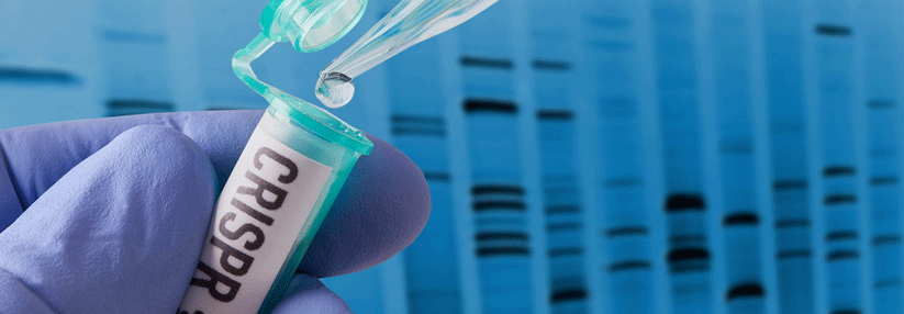 CRISPR/Cas9-System bietet fantastische Möglichkeiten, aber auch Risiken CRISPR/Cas9 ist seit seiner Einführung zu einem Standard in vielen Laboren geworden.