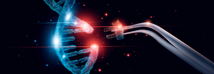 Die neue Generation der Genschere zerschneidet nur einen Strang der DNA.