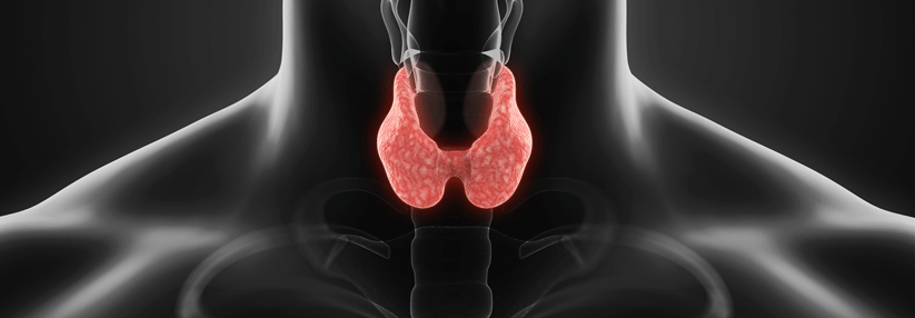 An immunmodulierenden Therapien wurde bisher kaum geforscht.