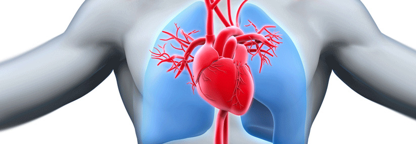 So lässt sich sicherer zwischen pulmonalem und kardialem Notfall differenzieren.