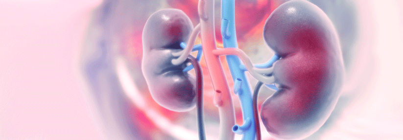 PD-L1- plus VEGF-Inhibition kann den Progress des Nierenzellkarzinoms deutlich hinauszögern.