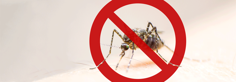 Ein konsequenter Mückenschutz und gesunder Menschenverstand reichen aus, um sich Malaria, Zika-Virus und Co. vom Leib zu halten.