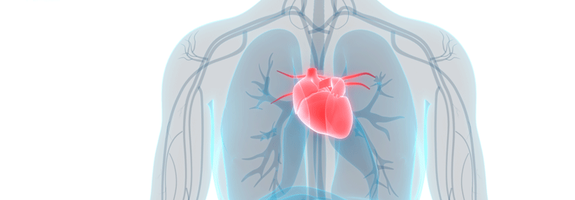 Schwere Exazerbationen werden verhindert und dem Herzen schadet der LAMA nicht.