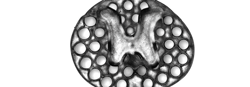 Zwei Millimeter misst das Nager-Rückenmarkimplantat aus dem 3D-Drucker. Um den H-förmigen Kern, der die graue Substanz ersetzt, liegen zahlreiche mit Stammzellen gefüllte Mikrokanäle. 