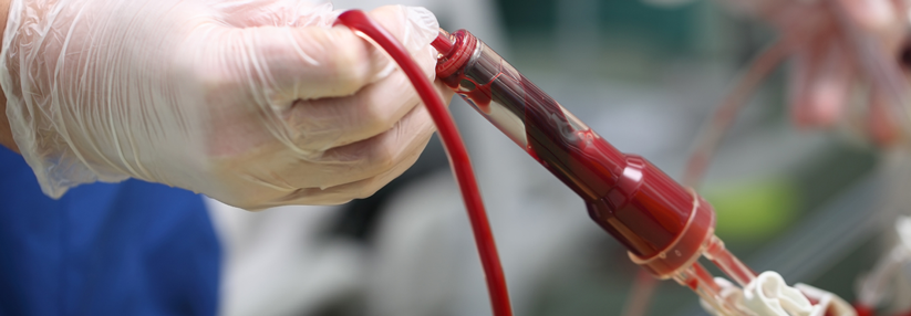 Patienten sind bald nicht mehr von Bluttransfusionen abhängig.
