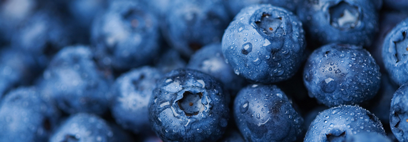 Blaubeeren senken offenbar den Blutdruck.