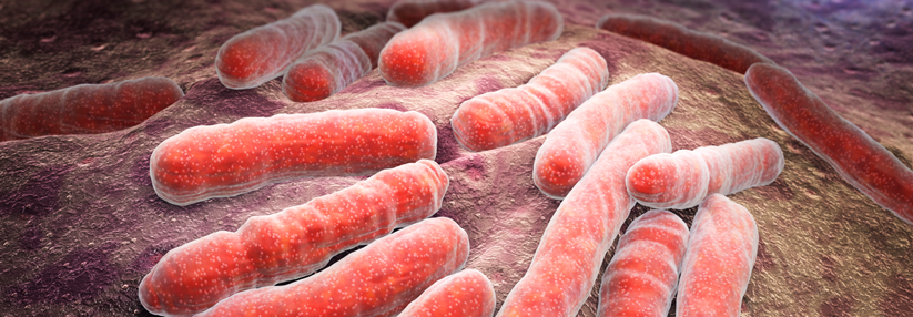 Über das Thema Tuberkulose im Zusammenhang mit neuen Biologika wurde bislang geschwiegen.