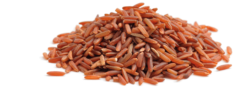 Rot fermentierter Reis enthält Monacolin K, was nichts anderes ist als Lovastatin.