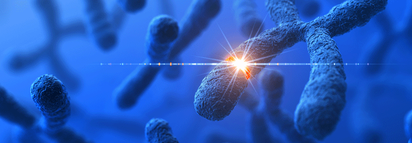 Die Gly101Val-Mutation verleiht CLL-Zellen einen Wachstumsvorteil.