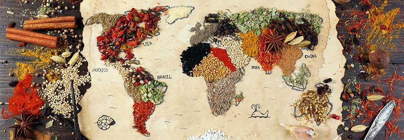 Die systematische Metaanalyse zu globalen Ernährungsrisiken zeigt: 1 von 5 Todesfällen ließe sich verhindern.