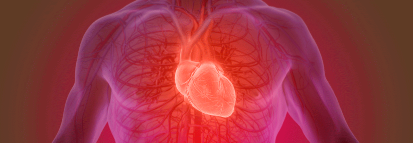 Ein geringerer Blutdruck schont auch die Herzklappen.