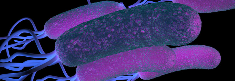 Resistenzen gegen Clarithromycin erschweren die Helicobacter-pylori-Eradikation – inzwischen gibt es dann aber Alternativen.