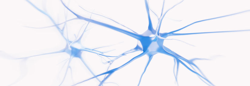 Diabetische Polyneuropathie: Nervenregeneration fördern mit neurotropen Nährstoffen Ursachen für eine Polyneuropathie gibt es viele, die weitaus häufigste ist jedoch Diabetes mellitus.